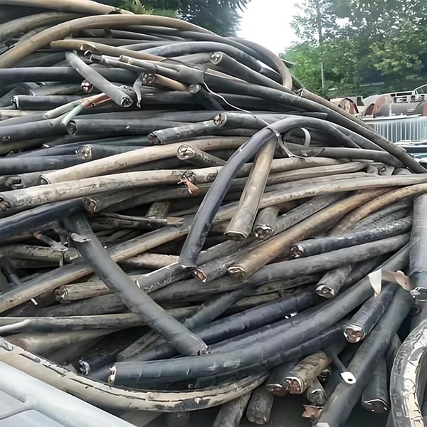 �Ͼɵ��»���