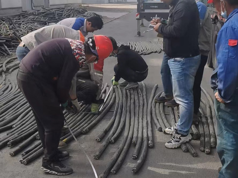 �Ͼɵ��»���