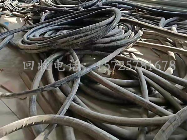 �Ͼɵ��»���