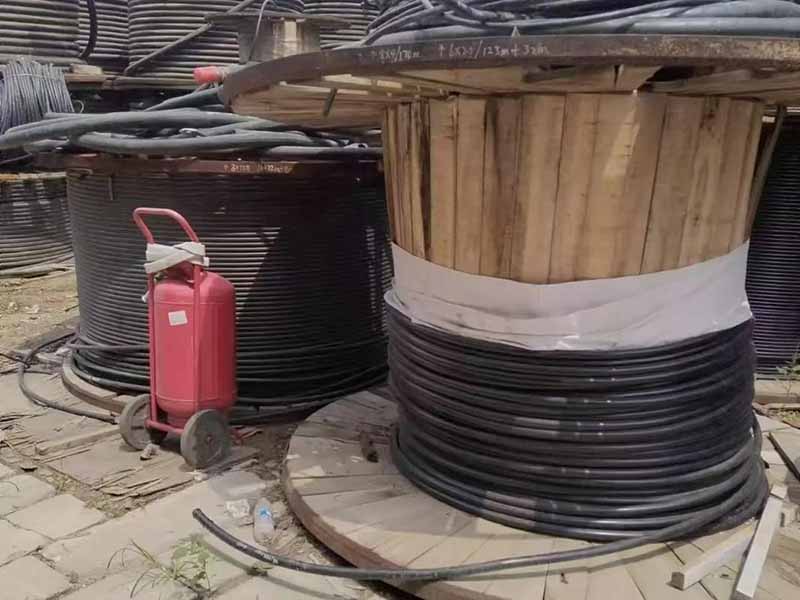 �Ͼɵ��»���